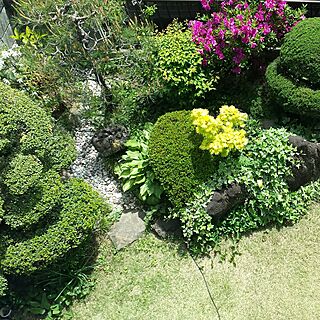 部屋全体/ガーデン/アウトドア/DIY/観葉植物のインテリア実例 - 2017-05-08 12:55:27