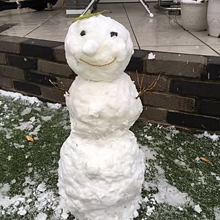 リビング/体オラフ、顔アンパン/雪だるま/大雪警報発令中/雪...などのインテリア実例 - 2017-02-11 01:23:24