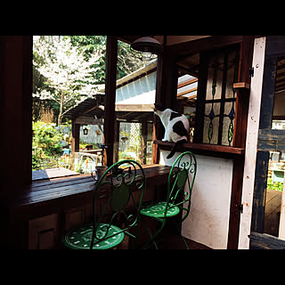 桜/猫カフェ風/ギョーブ♡5歳♂/猫スペース/猫...などのインテリア実例 - 2020-04-04 12:29:02