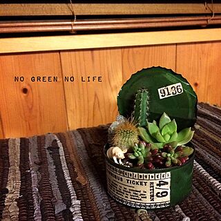NO GREEN NO LIFE/peroちゃんのリメ缶/多肉植物/寄せ植え/サボテン...などのインテリア実例 - 2015-01-19 08:49:07