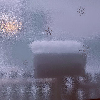 ガラスフィルム/サンルームが極寒/雪かきスコップ出しました/東京の大雪警報/小さなサンルーム...などのインテリア実例 - 2022-01-06 17:12:22