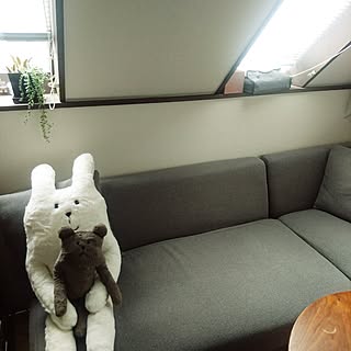 リビング/うさぎ/海外インテリアに憧れる/植物のある部屋/塩系インテリア...などのインテリア実例 - 2017-03-21 13:25:33