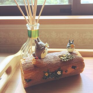 棚/nature/Totoro/ghibli/wood...などのインテリア実例 - 2017-06-20 15:36:30