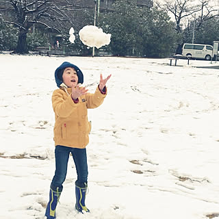 部屋全体/雪やんでるし…/三男くん/寄り道し買い物/千葉も雪が降りました...などのインテリア実例 - 2019-02-09 14:26:08