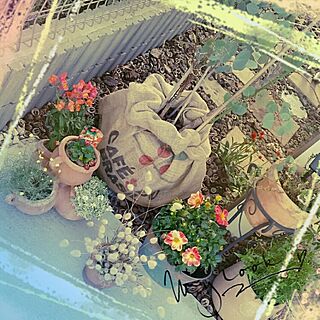 玄関/入り口/麻袋の鉢カバーのインテリア実例 - 2017-06-02 16:17:25