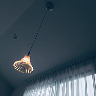 バカラの照明のおすすめ商品とおしゃれな実例 ｜ RoomClip（ルーム