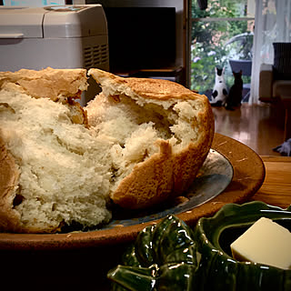 TVショッピングで観る光景/焼きたて食パンを手でちぎる/ホームベーカリー/ネコが好き/ネコのいる暮らし...などのインテリア実例 - 2020-08-13 06:42:06