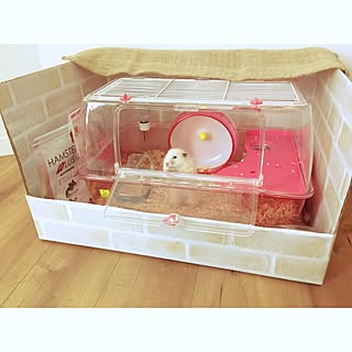 部屋全体/ゴールデンハムスター/ももちゃん♡/リメイクシート/ハムスターのお家...などのインテリア実例 - 2017-06-17 09:55:21