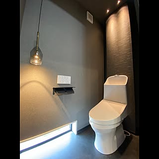 トイレインテリア/トイレの壁/トイレのインテリア/トイレットペーパーホルダー/トイレ...などのインテリア実例 - 2023-07-10 17:28:42