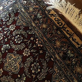 リビング/パキスタン絨毯/絨毯のインテリア実例 - 2016-11-06 20:55:02
