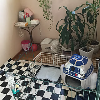 部屋全体/ダイソー/ワンコハウス/スターウォーズ/R 2-D2...などのインテリア実例 - 2018-10-24 09:36:03