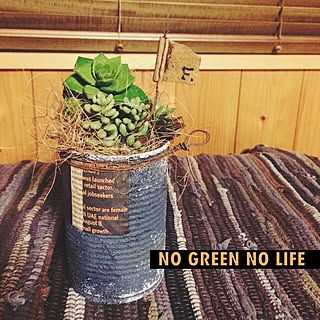 NO GREEN NO LIFE/塗り塗り/リメ缶/フェイク多肉植物/いなざうるす屋さん...などのインテリア実例 - 2014-11-12 21:45:01