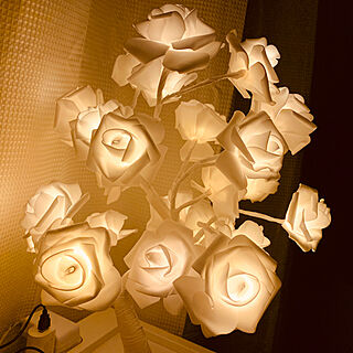 楽天/楽天で買ったもの/照明/ベッドライト/薔薇が好き...などのインテリア実例 - 2019-11-28 22:11:40