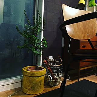 キッチン/観葉植物/カフェ風のインテリア実例 - 2016-10-17 20:32:58