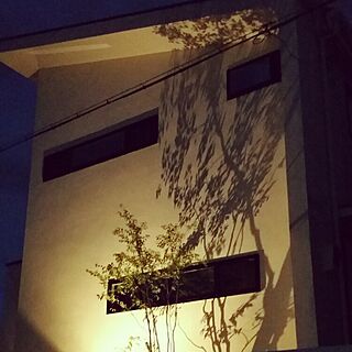 壁/天井/ライトアップ/白い家/ハイノキ/黒い窓のインテリア実例 - 2016-06-24 19:49:40