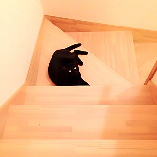 黒猫/階段のインテリア実例 - 2015-04-03 17:39:34