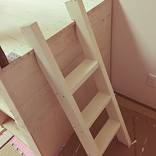 部屋全体/はしごDIY /DIY/小屋DIY /コーナン...などのインテリア実例 - 2017-06-05 10:26:08