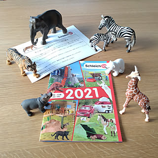 玄関/入り口/シュライヒ/Schleich/動物フィギュア/三井ホーム...などのインテリア実例 - 2021-12-20 15:55:47