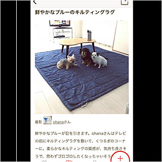 忘れた頃に訪れる/RoomClip mag/無印良品ラグ/無印良品/部屋全体のインテリア実例 - 2019-04-13 22:10:51