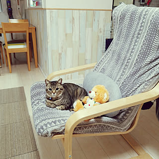ZARA HOMEアッシュウッド&リネンアームチェア 貴重 ZARA HOMEアッシュウッド&リネンアームチェア 貴重