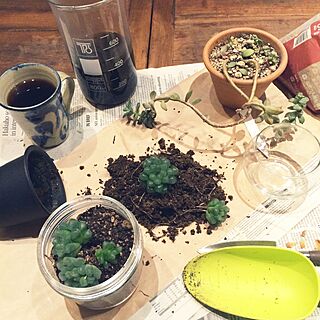 机/ビーカーにコーヒー/コーヒータイム/観葉植物/GREEN LIFE...などのインテリア実例 - 2016-04-25 22:51:54