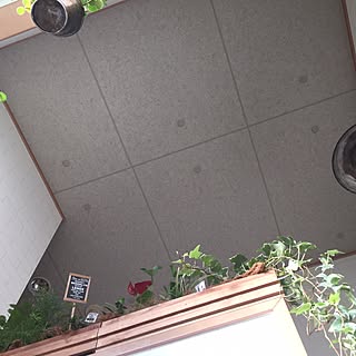 玄関/入り口/植物/サビサビ照明/吹き抜け階段/植物いっぱい❤...などのインテリア実例 - 2015-11-21 09:43:47