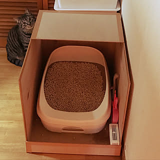 バス/トイレ/DIY/猫トイレカバー/ねこと暮らす/猫トイレカバーDIYのインテリア実例 - 2018-01-10 00:20:33