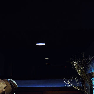 枝ものオブジェ/夏帽子/わが家の明かり/壁/天井のインテリア実例 - 2021-07-25 20:17:07