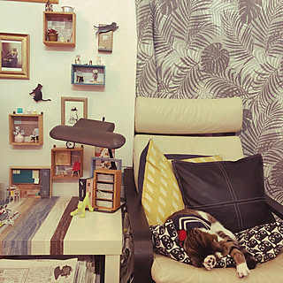 Ikeaの猫柄クッションのインテリア実例 Roomclip ルームクリップ