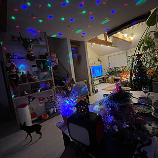 クリスマス2021/夜を楽しむ/クリスマス/クリスマスツリー/部屋全体のインテリア実例 - 2021-12-26 23:34:29