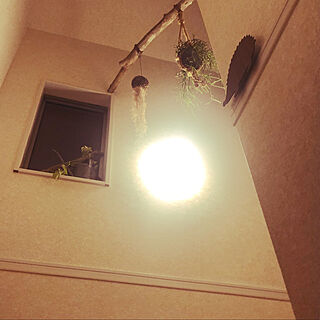 DIY/観葉植物/壁/天井のインテリア実例 - 2020-05-10 00:01:08