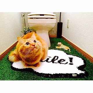 バス/トイレ/動物フィギュア/猫のいる生活/茶トラ/トイレマット...などのインテリア実例 - 2017-01-30 08:51:04