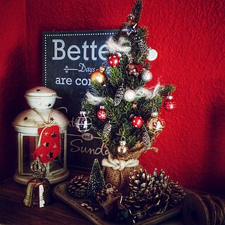 玄関/入り口/クリスマス/フェイクグリーン/IKEA/クリスマスツリー...などのインテリア実例 - 2014-12-09 20:23:27