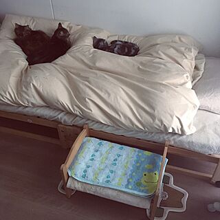 ベッド周り/IKEAドールベッド/IKEA/猫と暮らす/ねこ部...などのインテリア実例 - 2017-03-29 07:36:41
