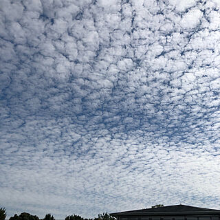 うろこ雲/雲/空/10月の空/ウロコ雲...などのインテリア実例 - 2022-10-21 10:49:06
