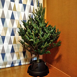 リビング/IKEA/クリスマスツリー/もみの木のインテリア実例 - 2020-11-20 17:06:10