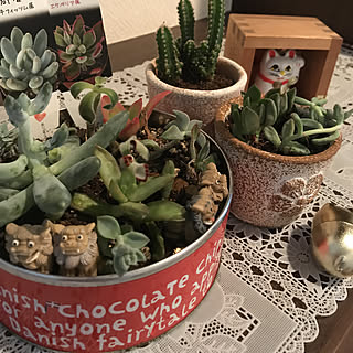 玄関/入り口/招き猫/金のブタ/寄せ植え初心者/多肉植物...などのインテリア実例 - 2018-03-14 16:52:58