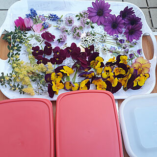 机/お花のある生活❁/お庭のお花♡/ドライフラワーになる予定の花材のインテリア実例 - 2020-04-29 22:16:54