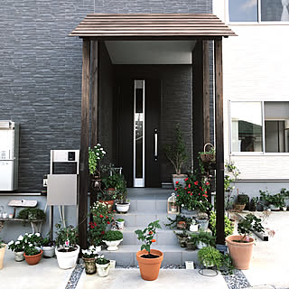 NO GREEN NO LIFE/植物のある暮らし/植物/パンプキンツリー/建売住宅...などのインテリア実例 - 2021-10-18 17:22:32