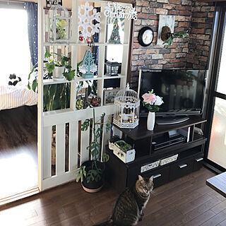 部屋全体/バードゲージDIY♡/クリスマスツリー/多肉植物/観葉植物のある部屋...などのインテリア実例 - 2017-11-09 07:30:26