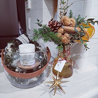 リビング/クリスマス/ホルムガード/ベツレヘムの星/Aoyama Flower Market...などのインテリア実例 - 2023-12-20 17:31:25