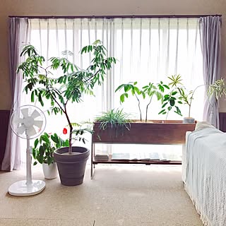 棚/扇風機/日替わり投稿企画!月曜日/観葉植物/ソファー...などのインテリア実例 - 2017-07-17 09:55:50