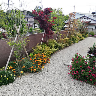 玄関/入り口/我が家のお庭/植物のある暮らし❁.*･ﾟ/いやしの空間/毎日の暮らしを楽しむ♪...などのインテリア実例 - 2021-02-25 21:29:03