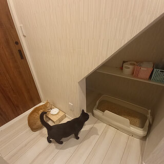 猫トイレ/ねこのいる日常/ニャンとも清潔トイレ/ねこと暮らす。/偏愛カタログ...などのインテリア実例 - 2021-12-06 09:44:01