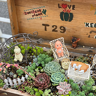 NO GREEN NO LIFE/succlent/インスタはdainaorei12/botanicaldecor/DIY...などのインテリア実例 - 2022-07-17 17:32:02