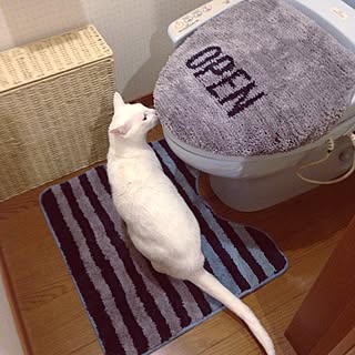 バス/トイレ/ねこ部/トイレカバー/ニトリのインテリア実例 - 2016-01-22 23:12:35