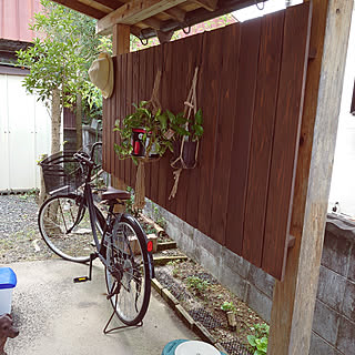 玄関/入り口/古い家に住む/目隠し柵DIY/観葉植物/玄関先...などのインテリア実例 - 2021-09-05 13:03:05