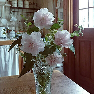 キッチン/庭に咲く花のインテリア実例 - 2017-07-29 14:32:19
