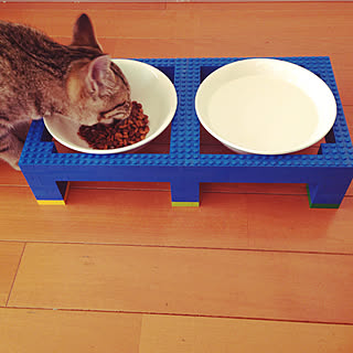 餌/猫餌/LEGO/レゴ/保護猫...などのインテリア実例 - 2019-04-08 08:17:31