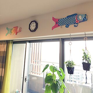 壁/天井/RIKI Clock/観葉植物/プラントハンガー/こいのぼり　...などのインテリア実例 - 2016-04-05 14:59:54